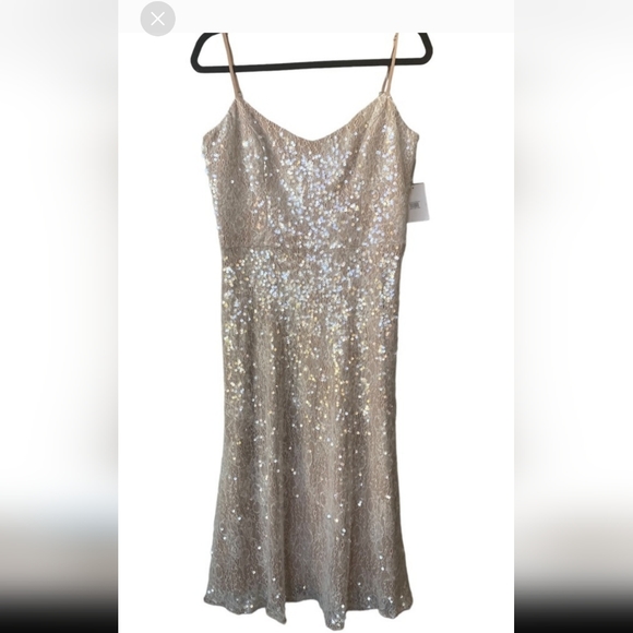 Dress The Population Antonia Dress Off White Lace Sequin MIDI - Picture 2 of 6